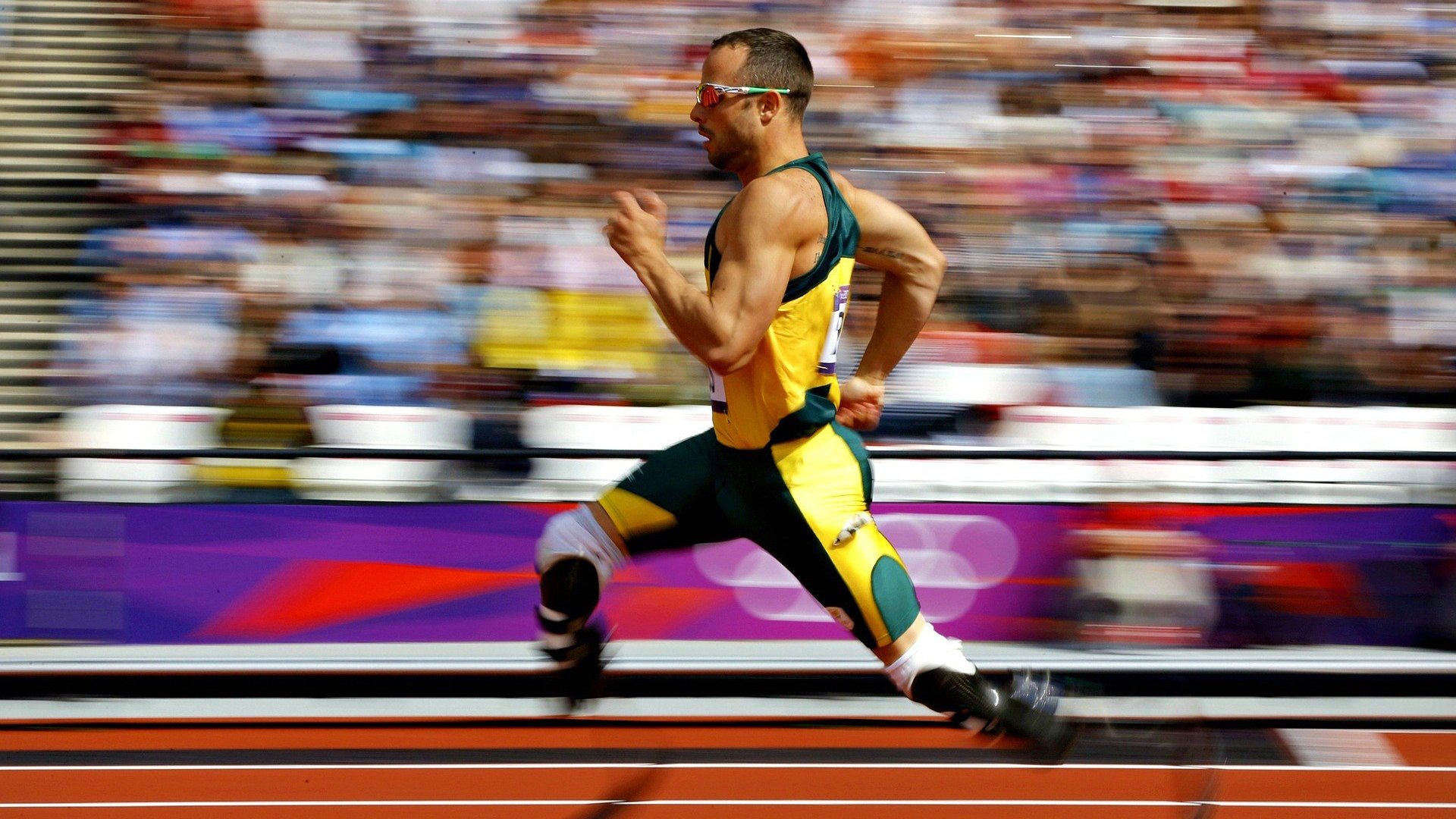 开云平台-太阳节奏掌控广东队，2026世界杯焦点战的战术预演