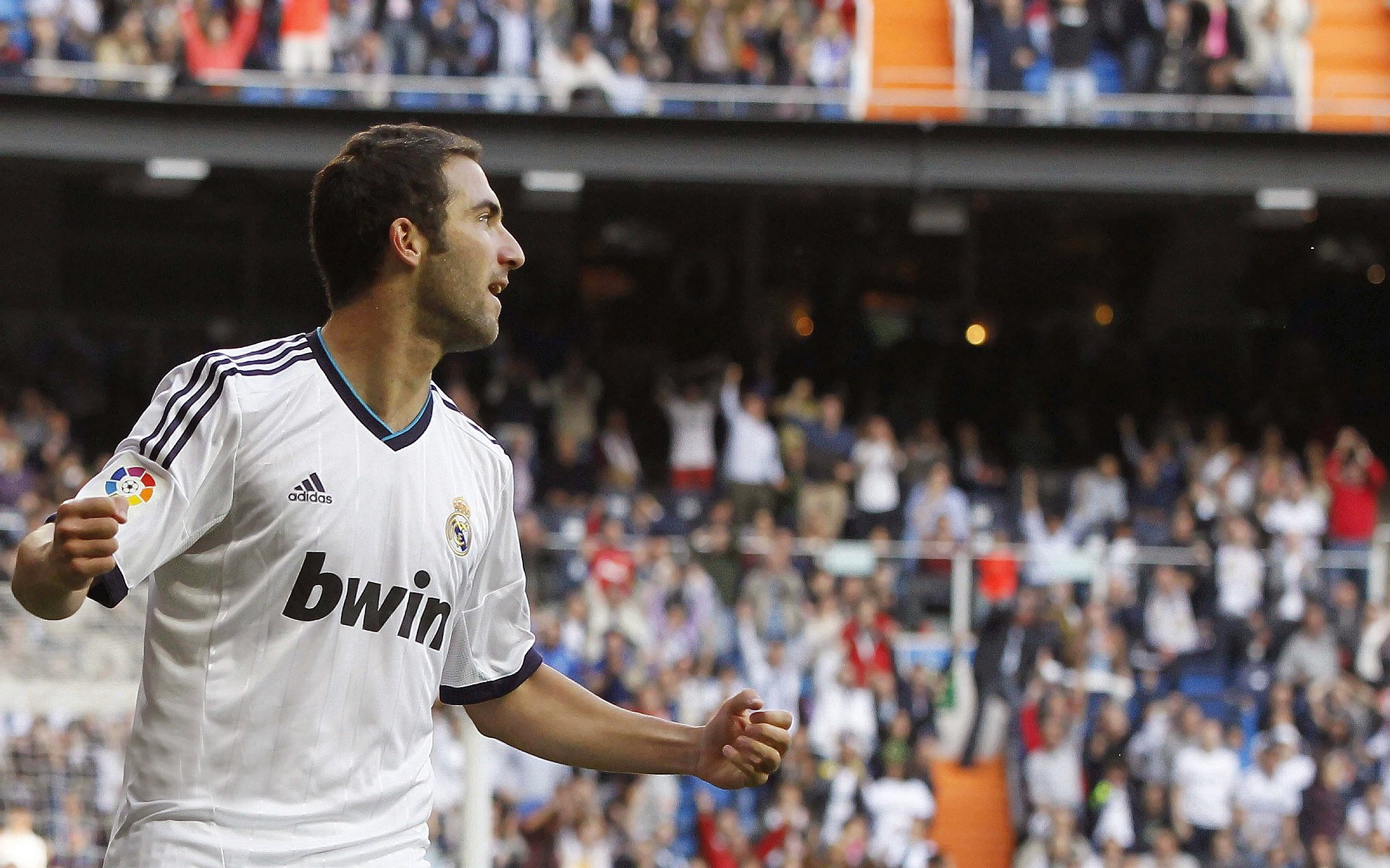 北非雄狮咆哮卡塔尔，恩佐引擎响彻街道，当足球与F1共奏征服之歌